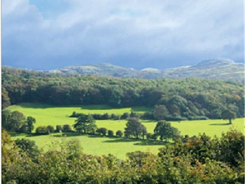 The Druid Inn Llanferres Exteriör bild